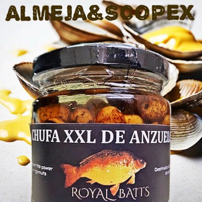 Almeja & Scopex