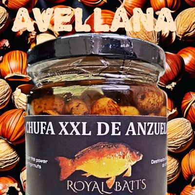avellana
