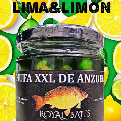 lima & Limon