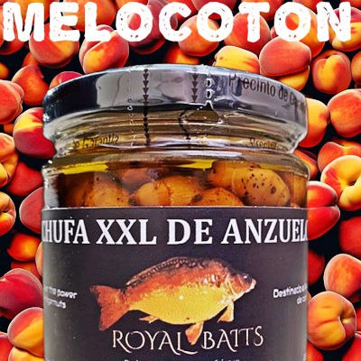 Melocoton