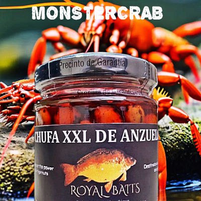 monsterCrab