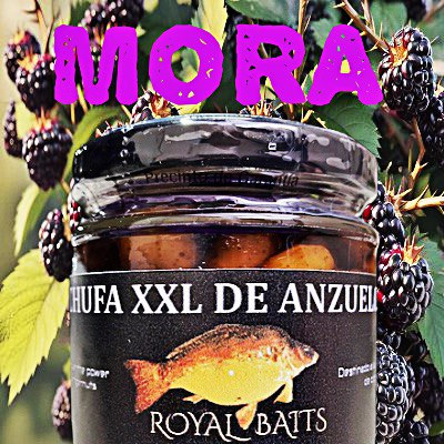 mora