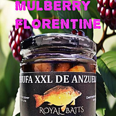 mulberry Florentine