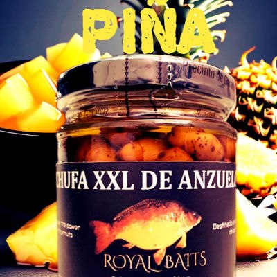 Pina