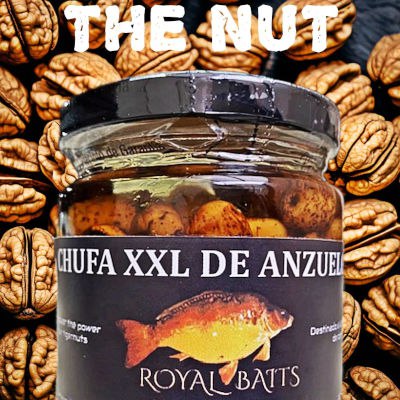 The Nut